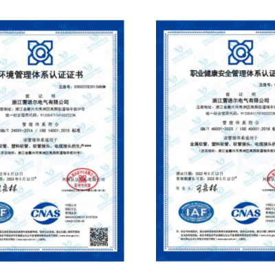 雷諾爾電氣順利通過ISO14001和ISO45001環(huán)境、安全管理體系認(rèn)證